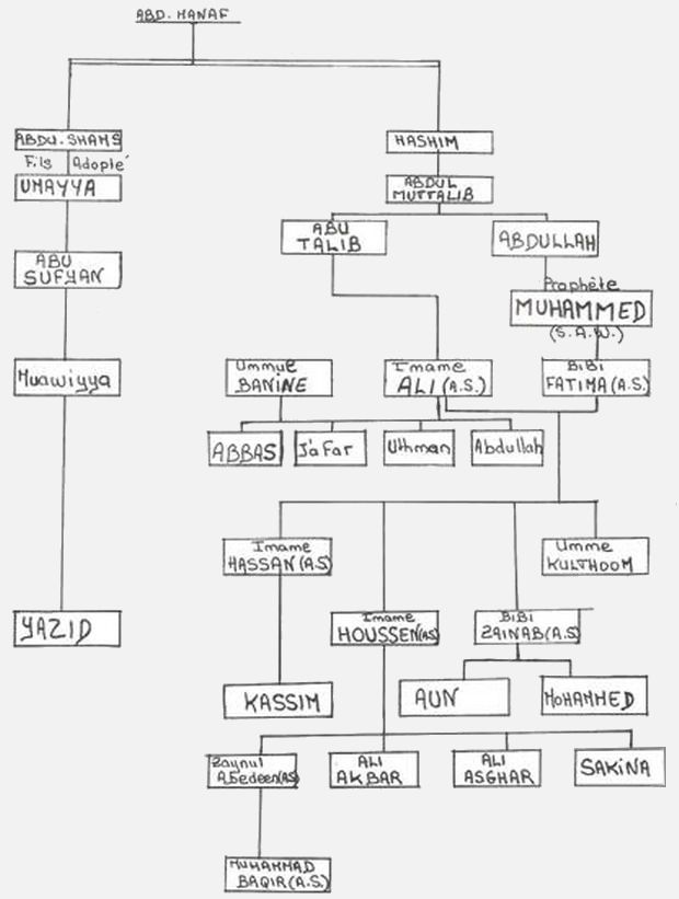 http://www.shia974.fr/images/arbre_genealogique.jpg